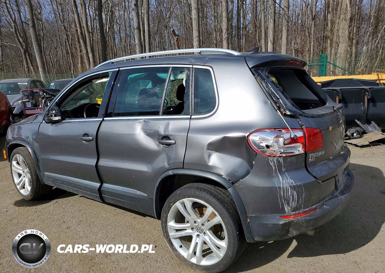 2016 Volkswagen Tiguan S VIN:WVGBV7AX6GW615380 - 2