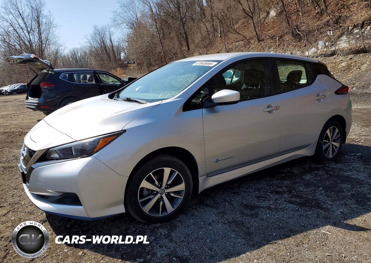 2019 Nissan Leaf S Plus