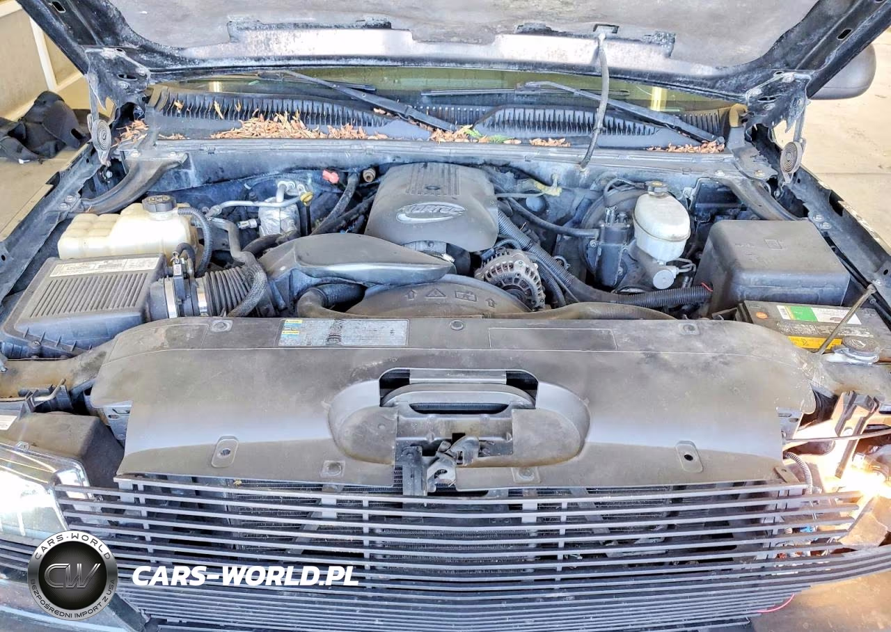 2003 Chevrolet Silverado K1500 VIN:1GCEK19T13E302908 - 11