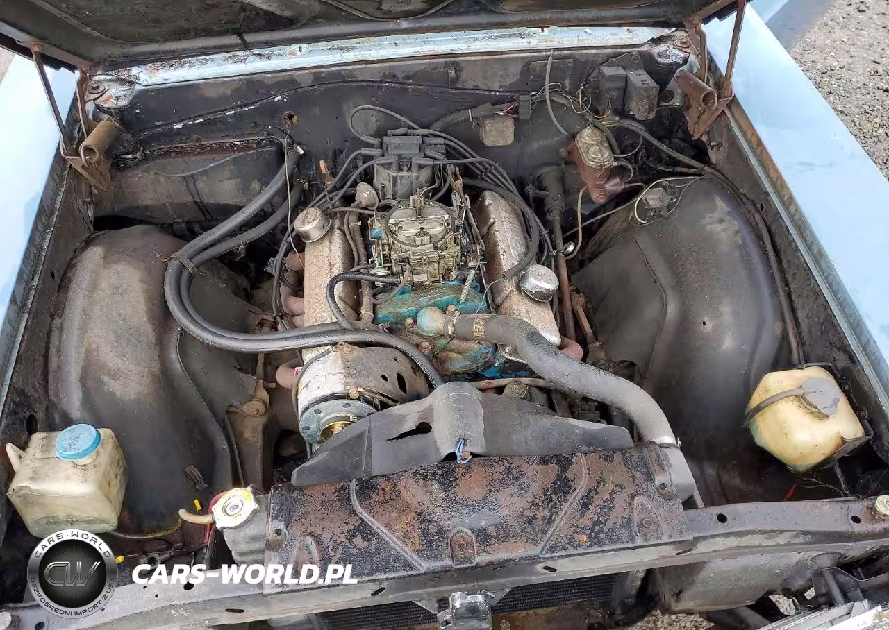 1966 Buick Skylark VIN:444176Z120893 - 11