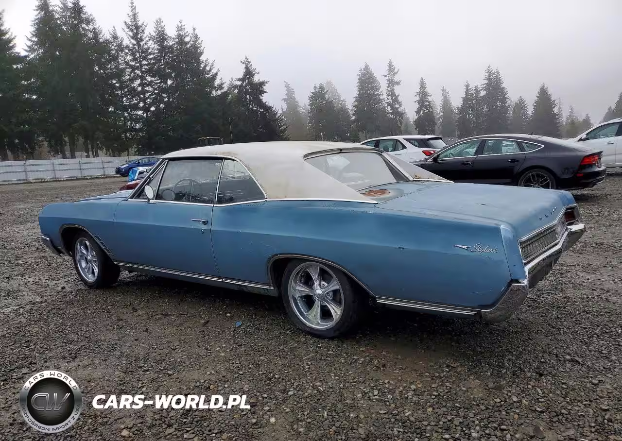 1966 Buick Skylark VIN:444176Z120893 - 2