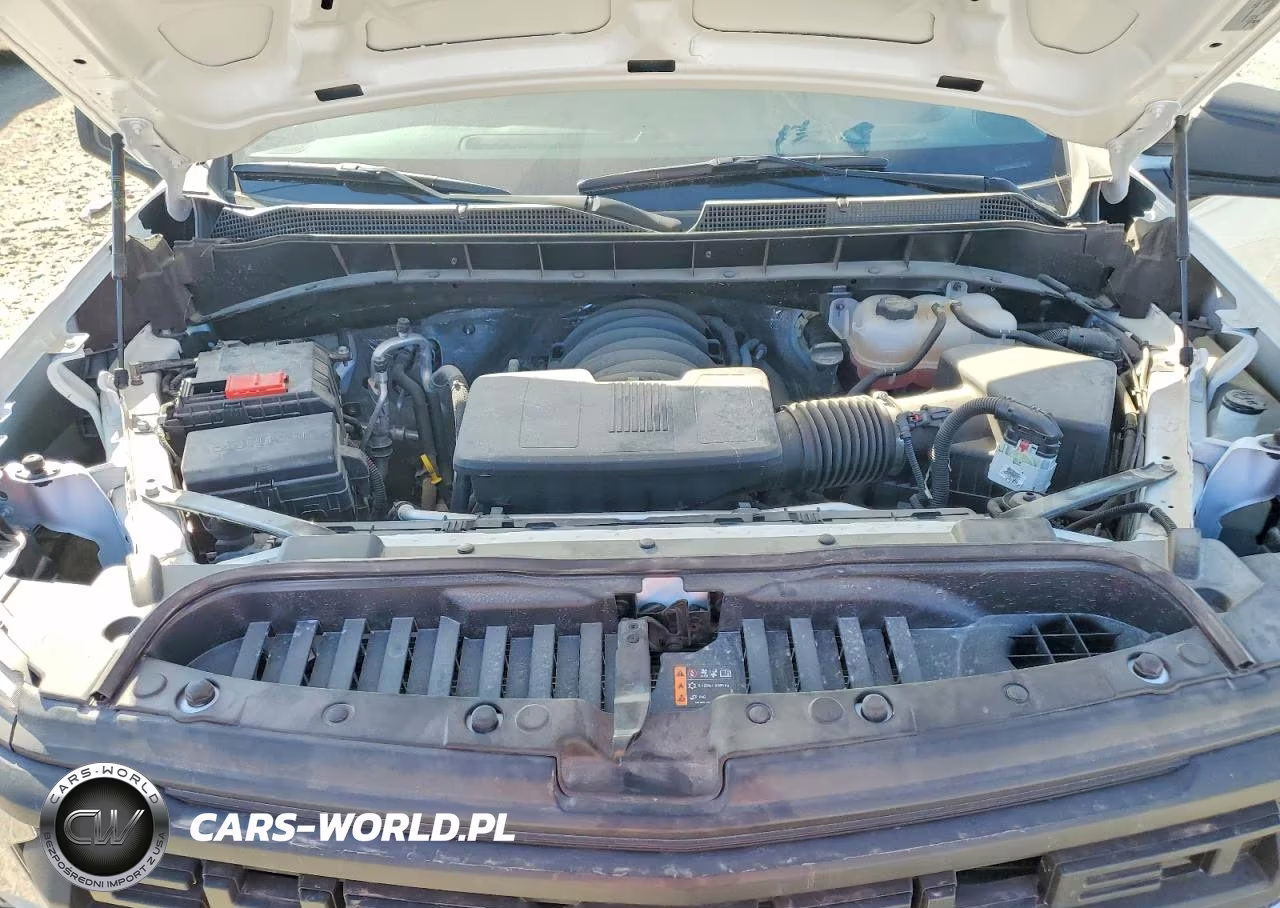 2025 Chevrolet Silverado K1500 VIN:3GCUKAED0SG222694 - 11