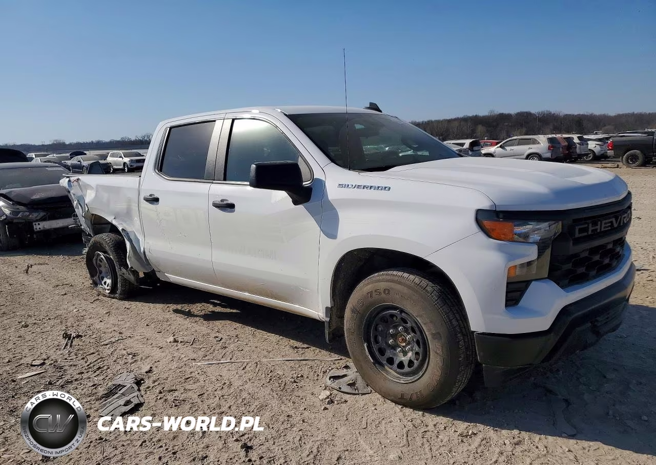 2025 Chevrolet Silverado K1500 VIN:3GCUKAED0SG222694 - 4