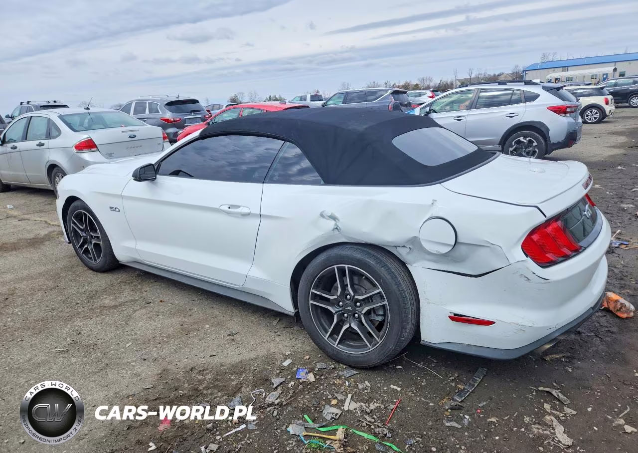 2019 Ford Mustang Gt VIN:1FATP8FF6K5104393 - 2