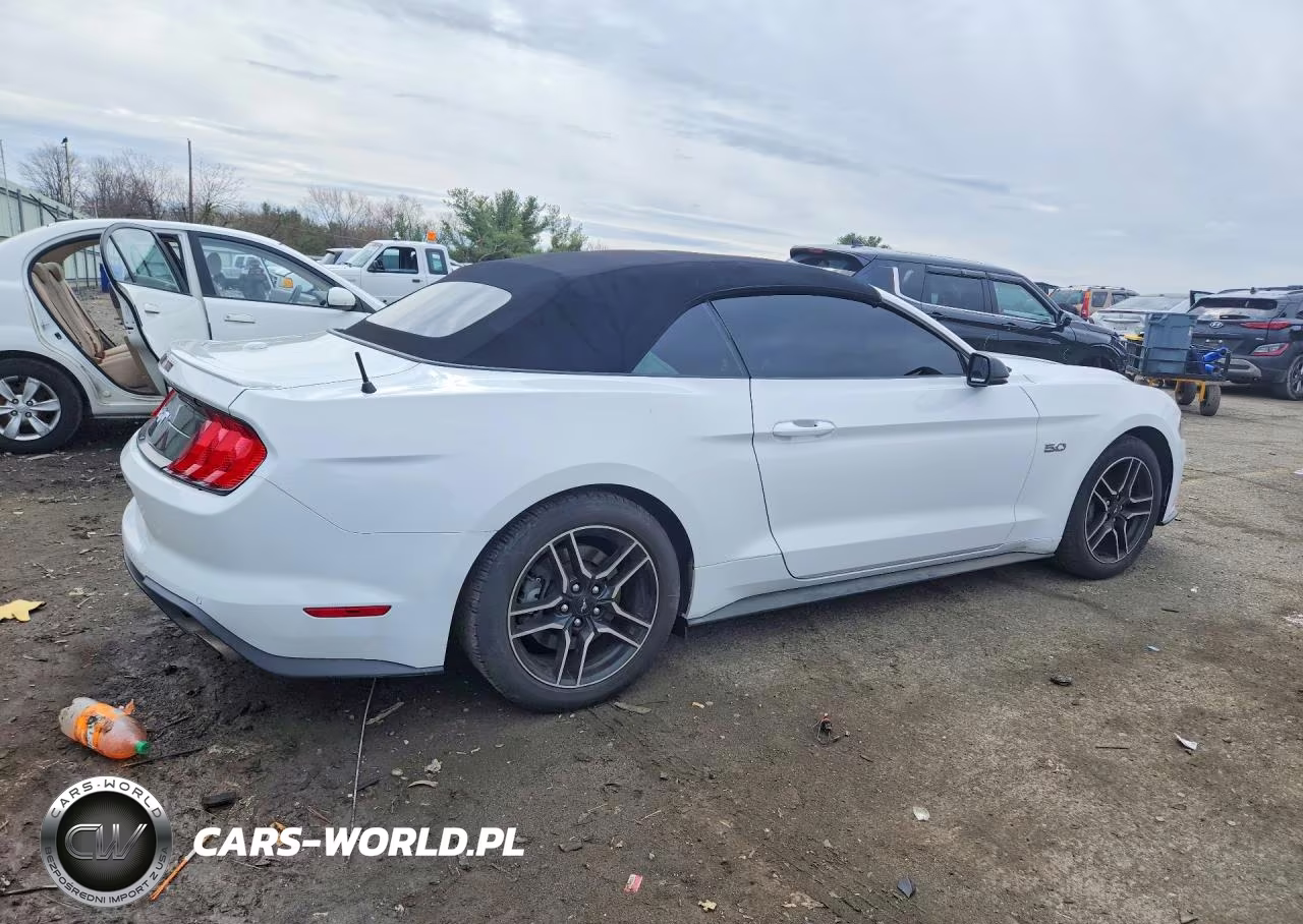 2019 Ford Mustang Gt VIN:1FATP8FF6K5104393 - 3