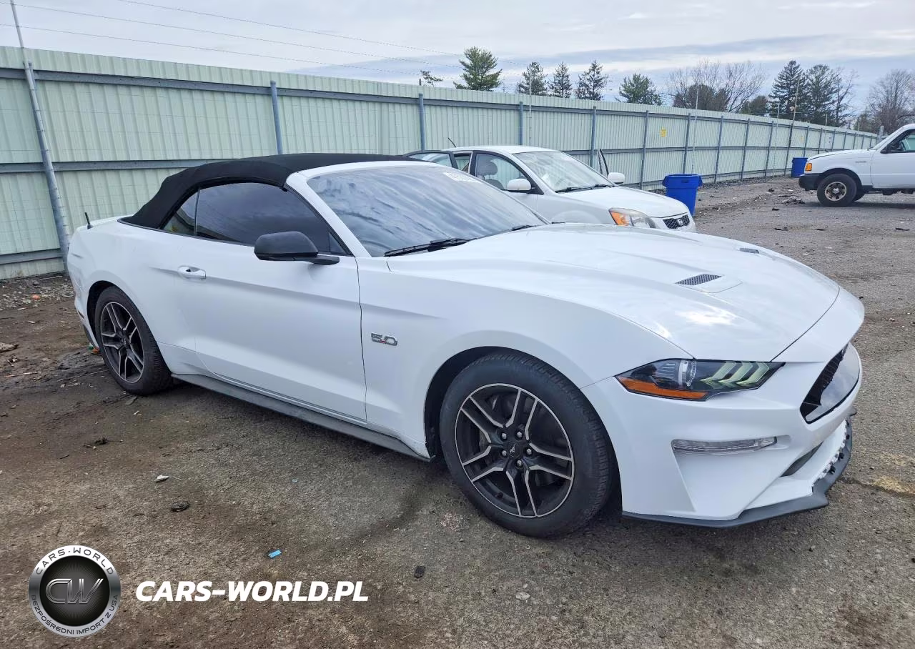 2019 Ford Mustang Gt VIN:1FATP8FF6K5104393 - 4