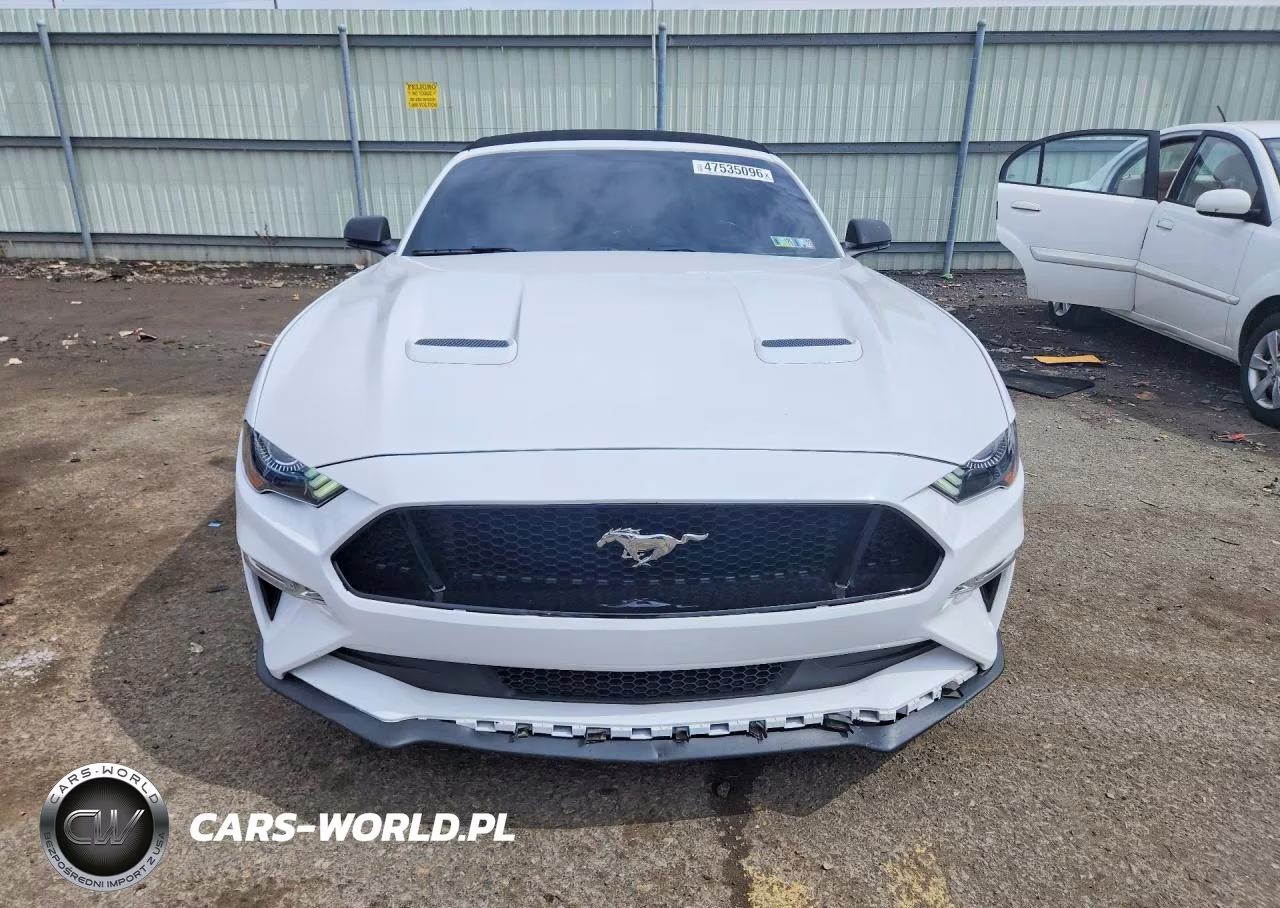 2019 Ford Mustang Gt VIN:1FATP8FF6K5104393 - 5