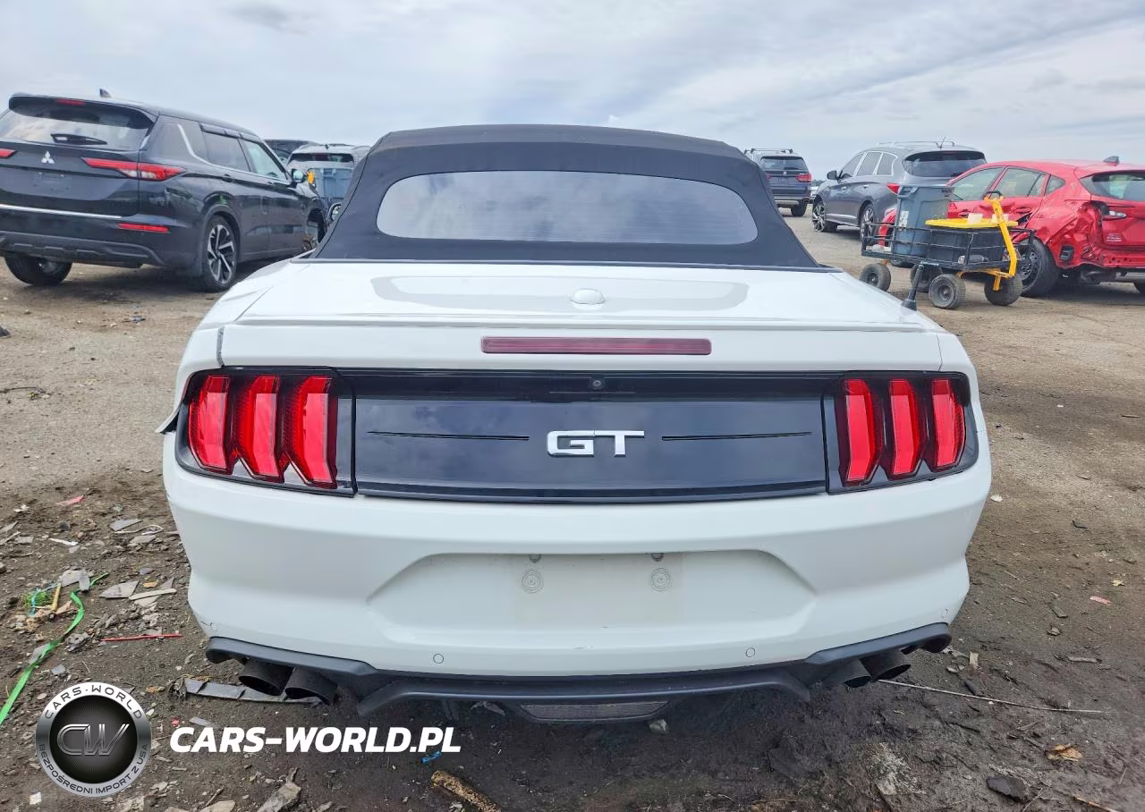 2019 Ford Mustang Gt VIN:1FATP8FF6K5104393 - 6