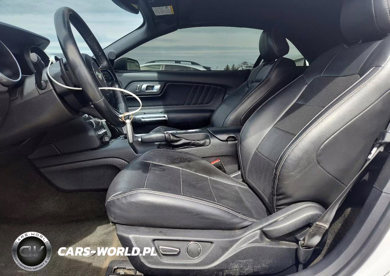 2019 Ford Mustang Gt VIN:1FATP8FF6K5104393 - 7