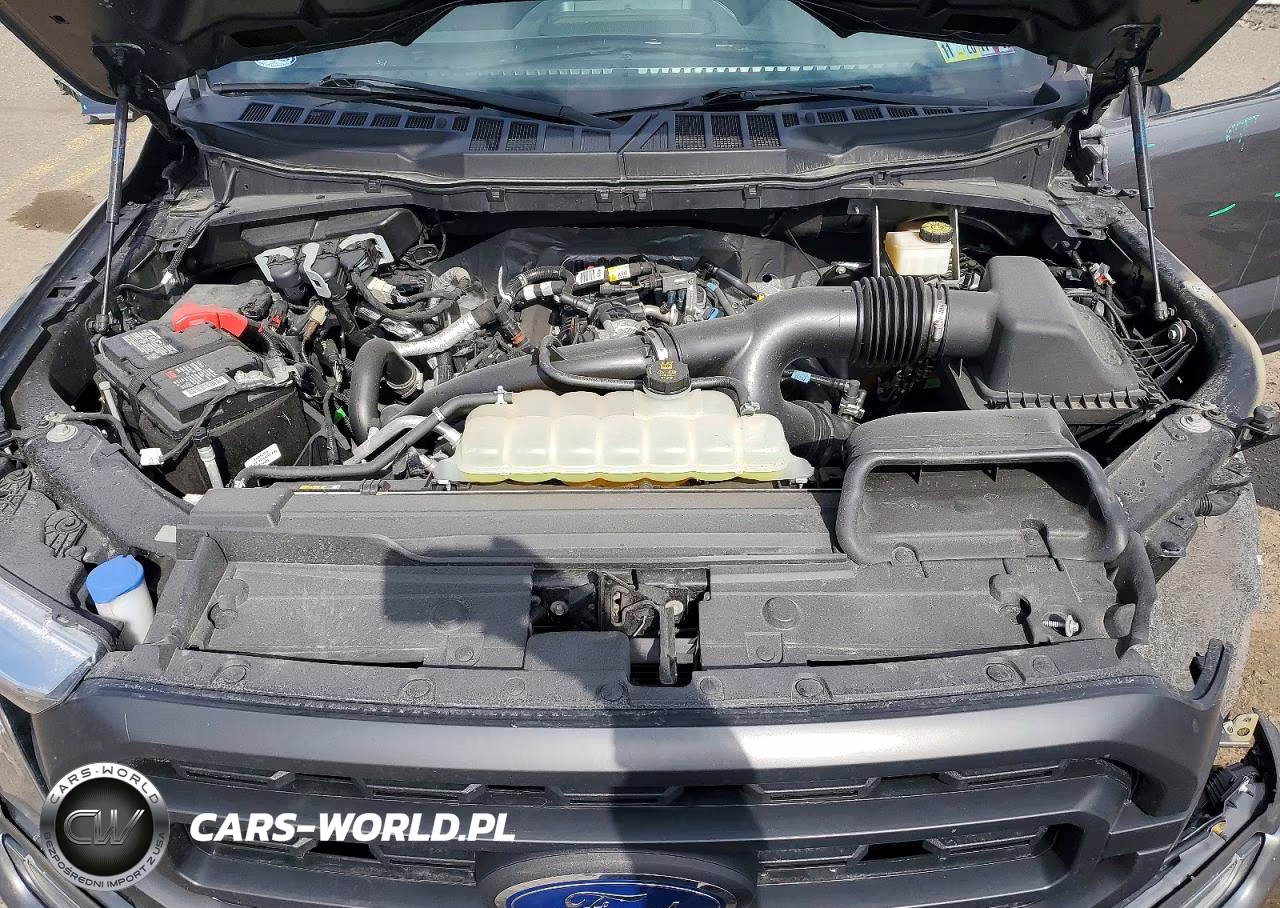 2022 Ford F150 Supercrew VIN:1FTEW1EP5NKE12958 - 11