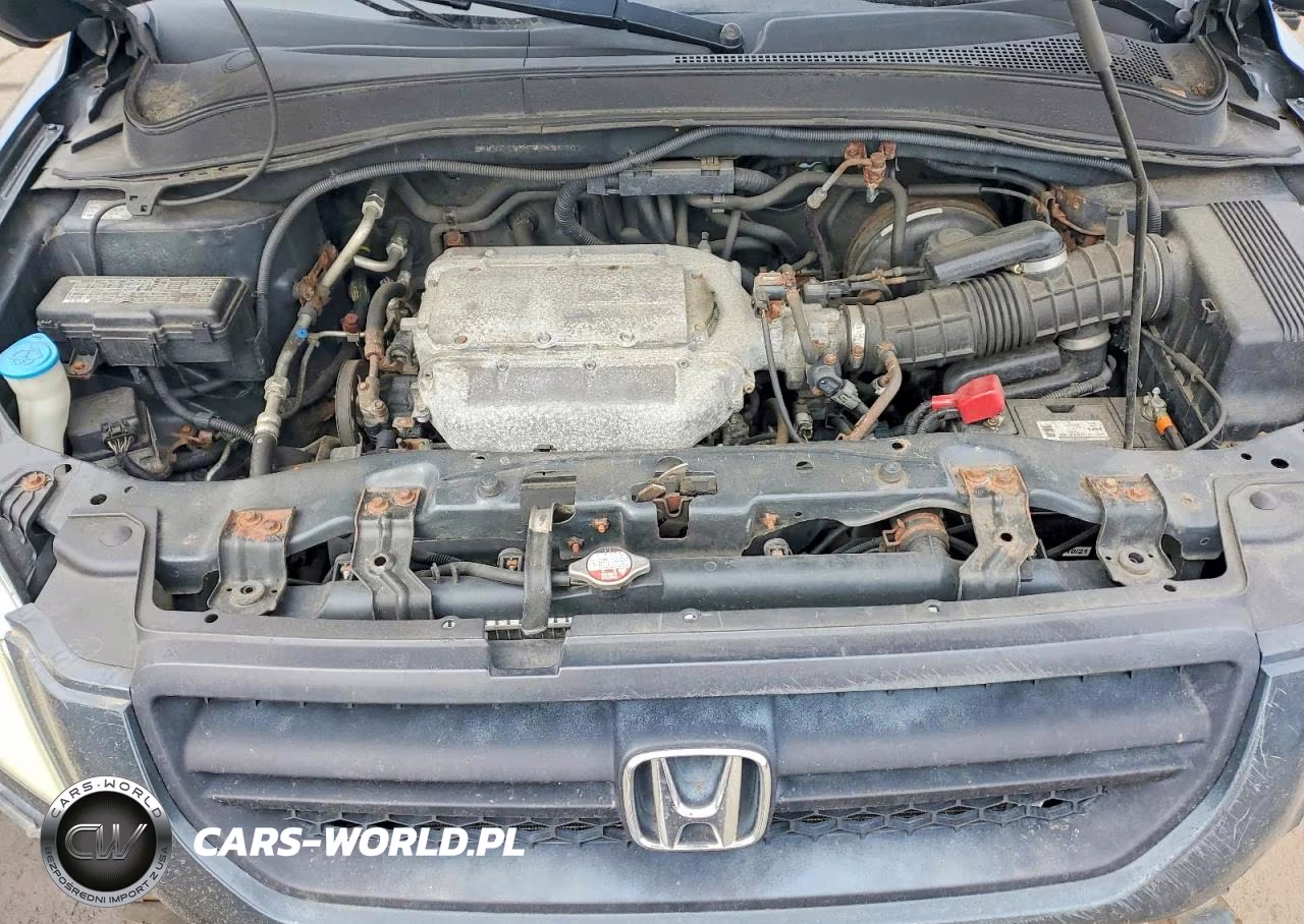 2004 Honda Pilot Exl VIN:2HKYF18594H584902 - 12