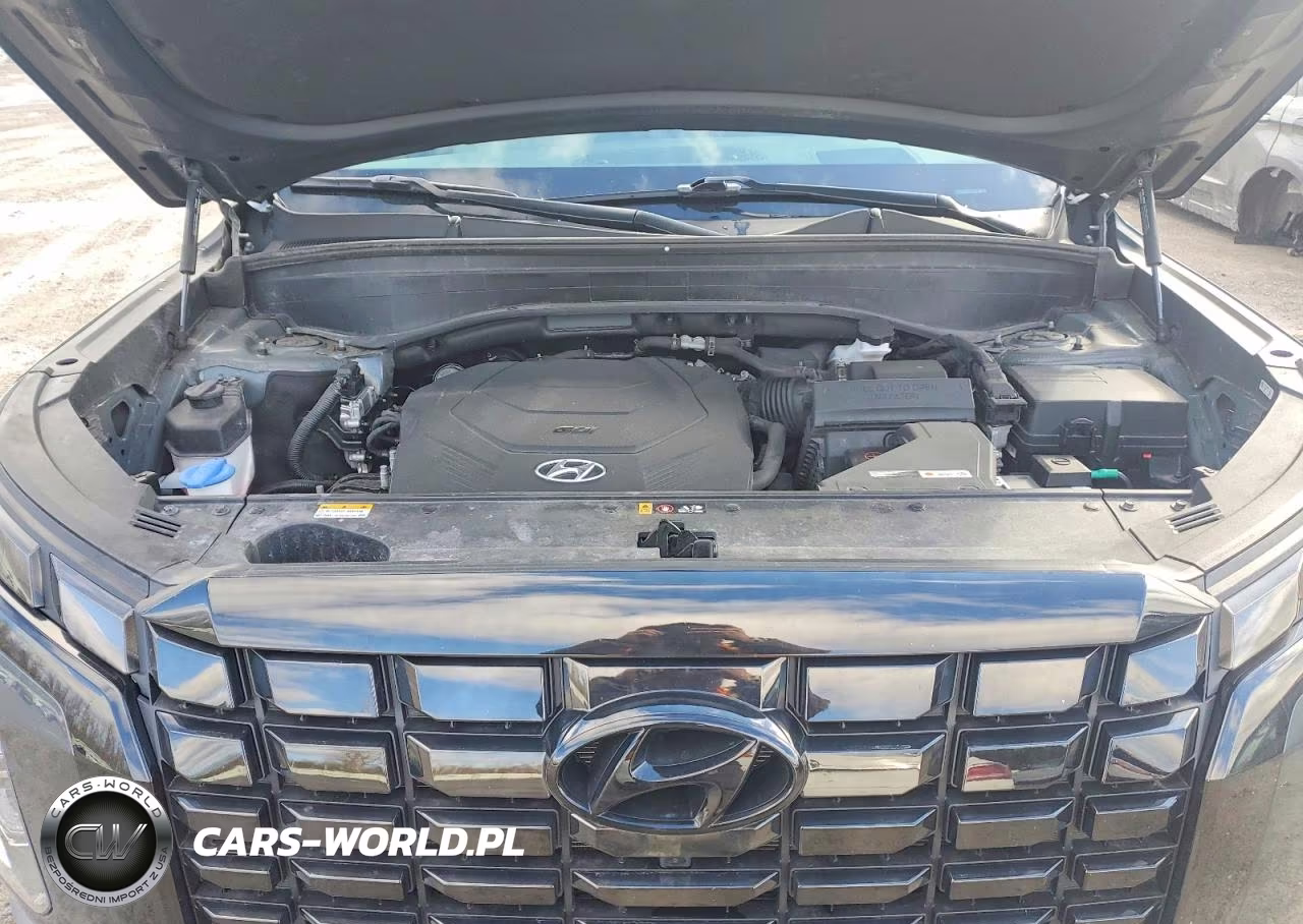 2023 Hyundai Palisade Limited VIN:KM8R5DGE5PU528276 - 12