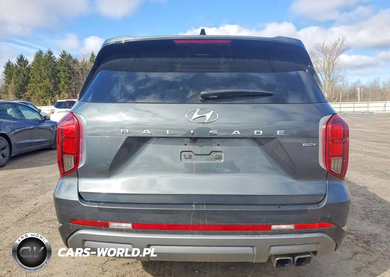 2023 Hyundai Palisade Limited VIN:KM8R5DGE5PU528276 - 6