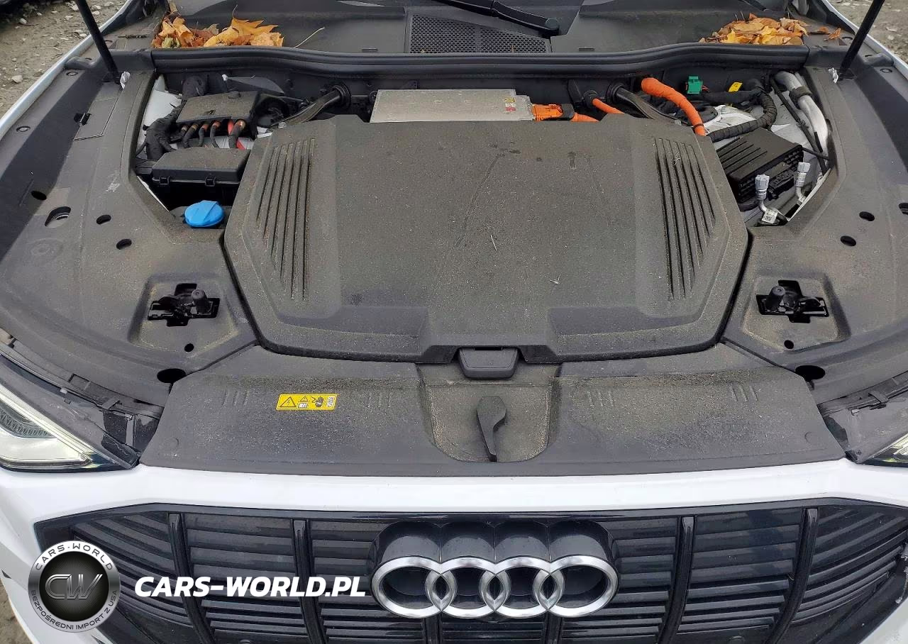 2021 Audi E-Tron Premium Plus VIN:WA1LAAGE7MB027265 - 11