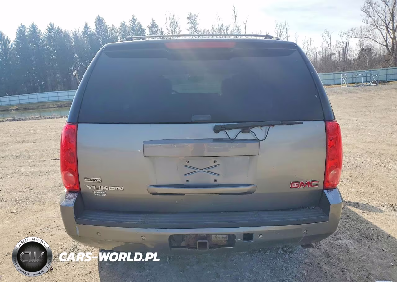 2009 GMC Yukon Slt VIN:1GKFK33039R250461 - 6