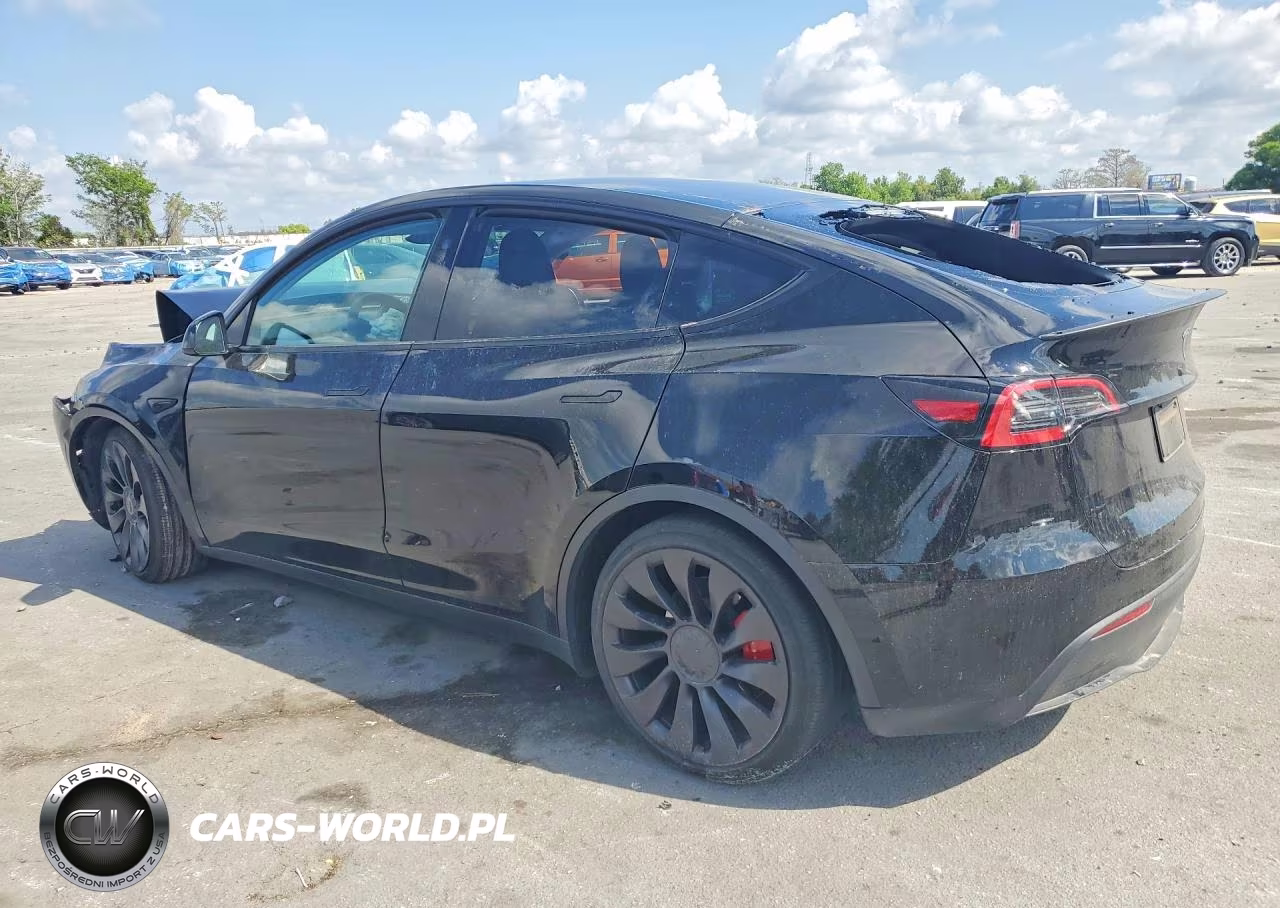 2025 Tesla Model Y VIN:7SAYGDEF8SA348250 - 2