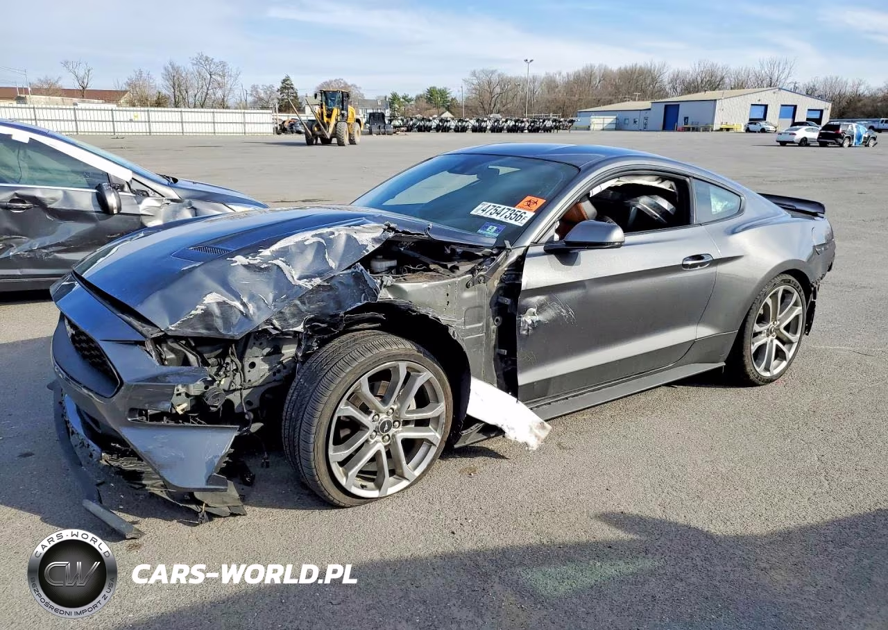 2019 Ford Mustang