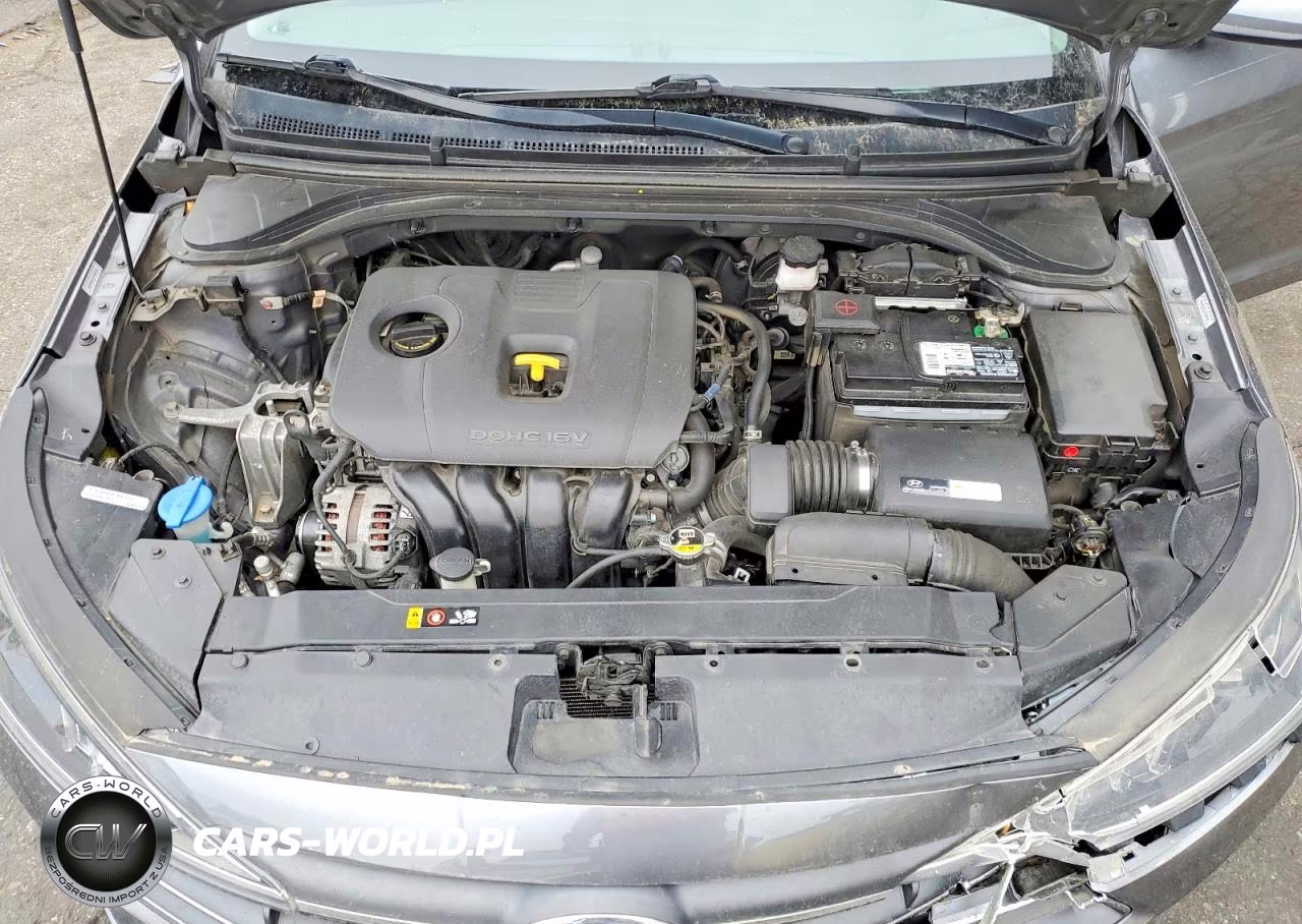 2019 Hyundai Elantra Sel VIN:KMHD84LF7KU820780 - 11