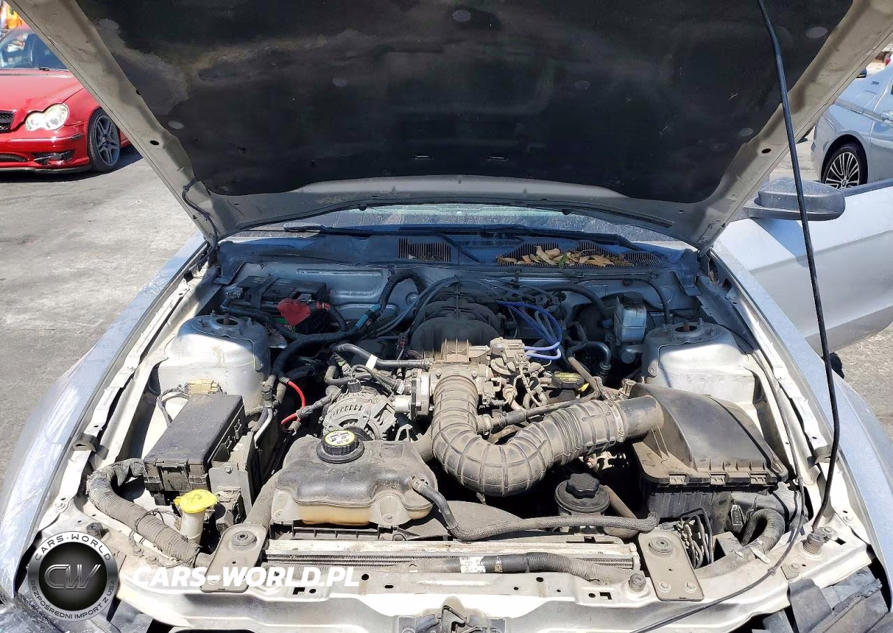 2010 Ford Mustang VIN:1ZVBP8AN5A5132640 - 11