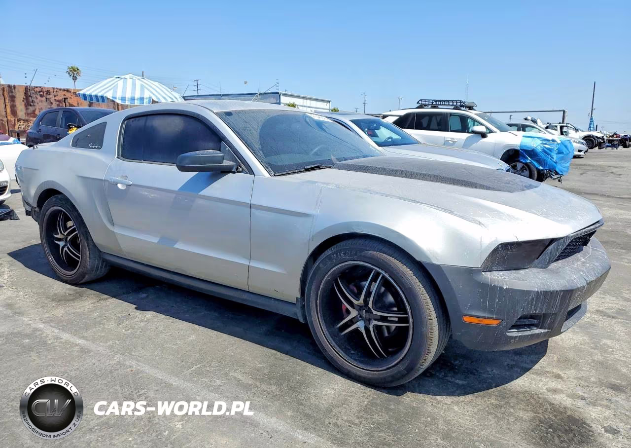 2010 Ford Mustang VIN:1ZVBP8AN5A5132640 - 4