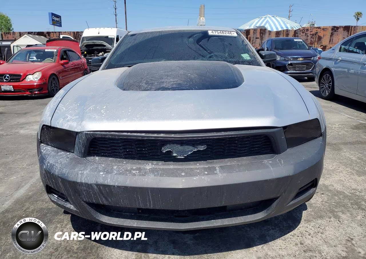 2010 Ford Mustang VIN:1ZVBP8AN5A5132640 - 5