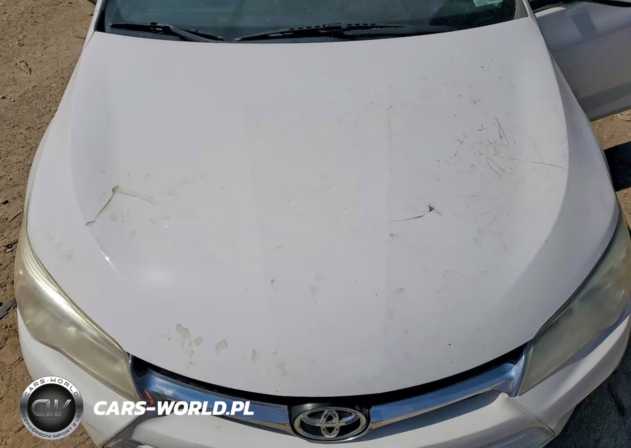 2017 Toyota Camry Le VIN:4T1BF1FK9HU384544 - 11
