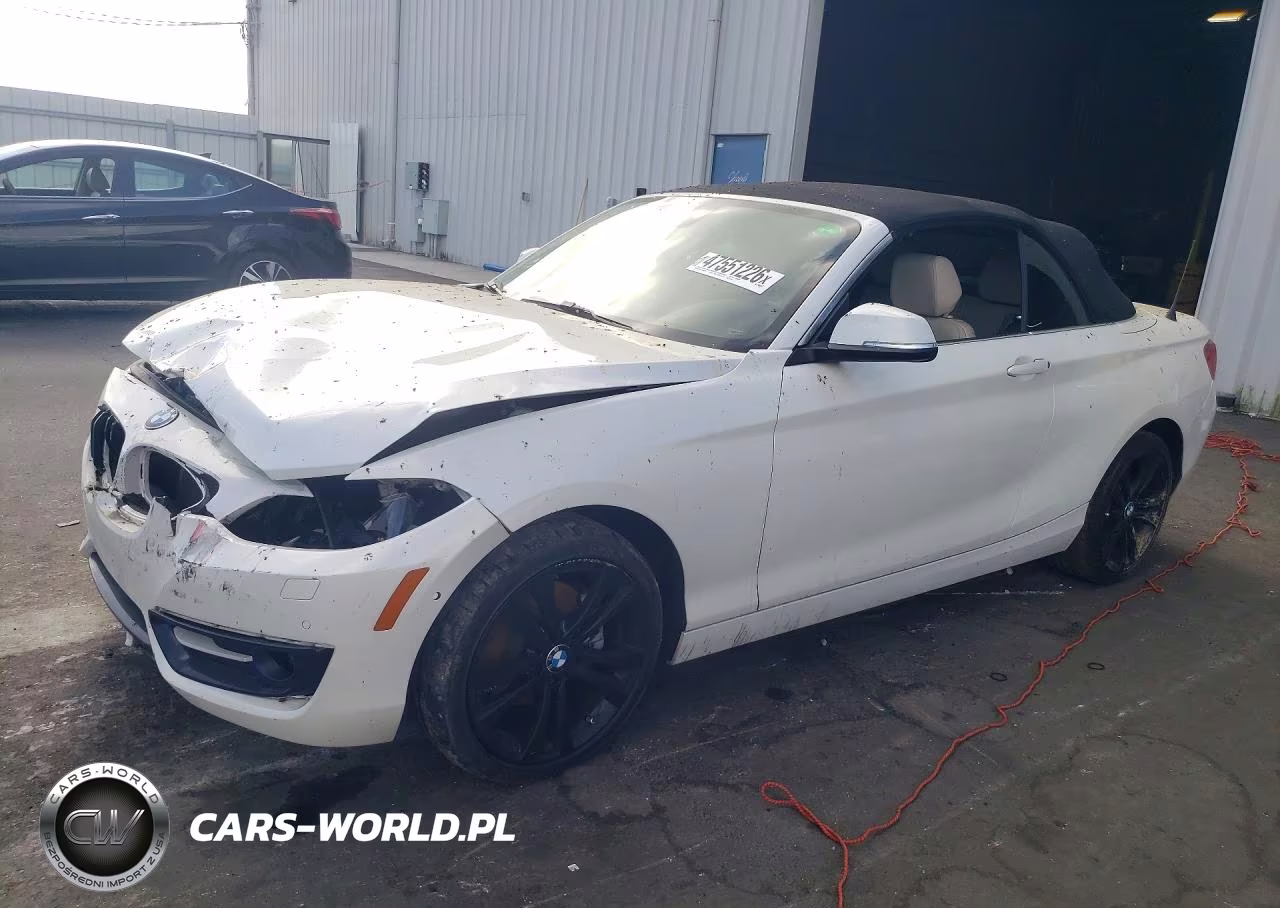 2016 BMW 228 I Sulev