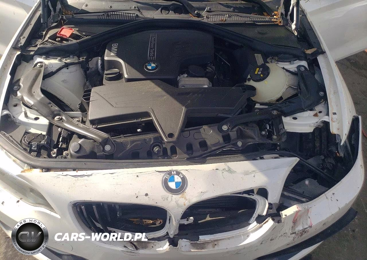 2016 BMW 228 I Sulev VIN:WBA1K9C59GV321748 - 11