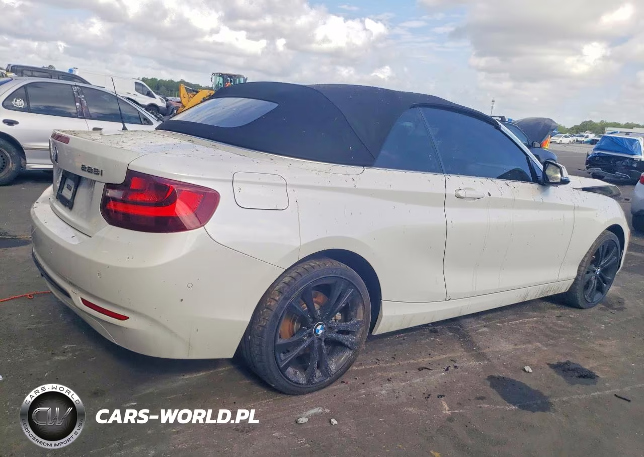 2016 BMW 228 I Sulev VIN:WBA1K9C59GV321748 - 3