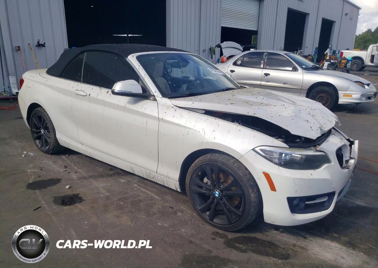 2016 BMW 228 I Sulev VIN:WBA1K9C59GV321748 - 4