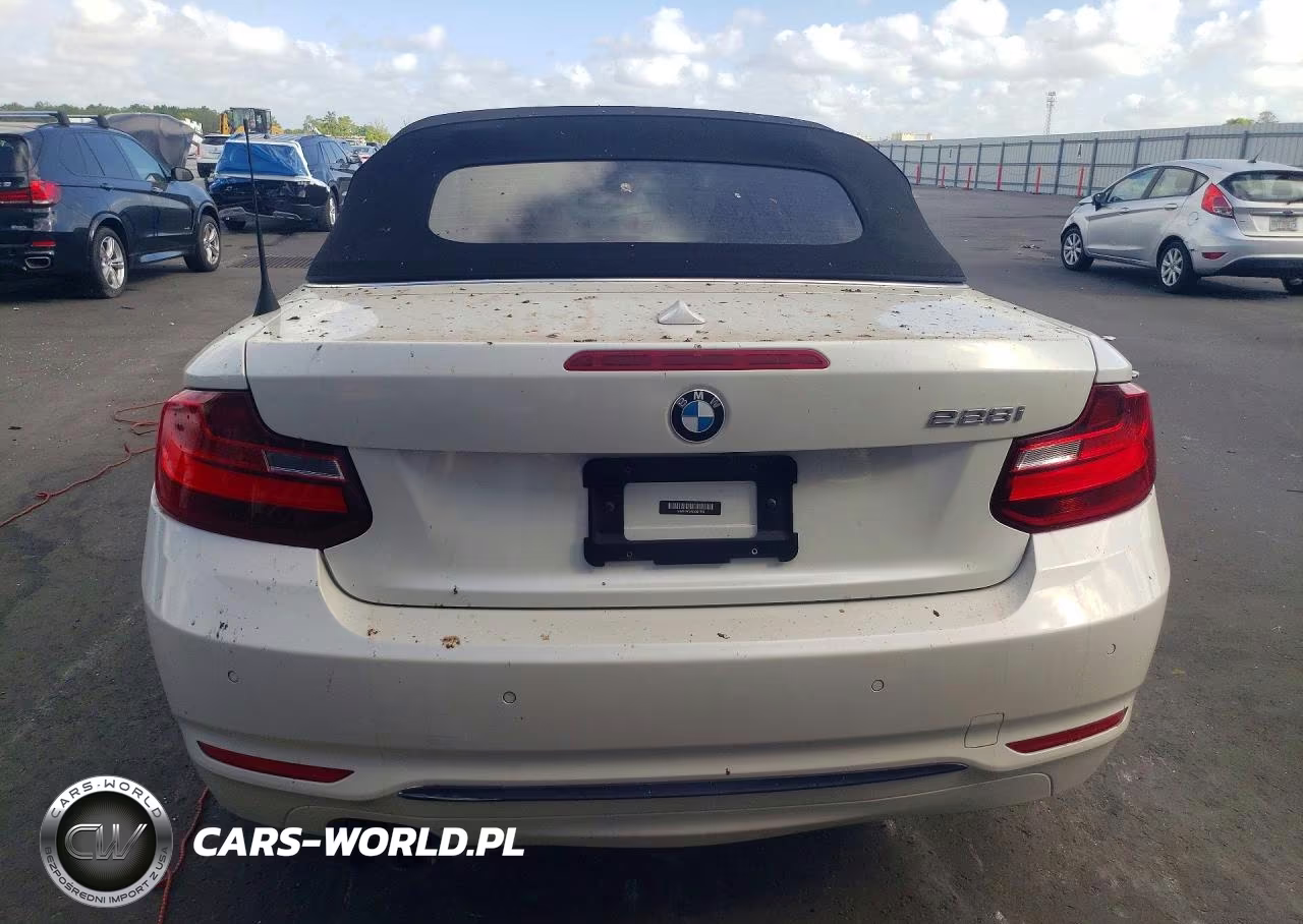 2016 BMW 228 I Sulev VIN:WBA1K9C59GV321748 - 6