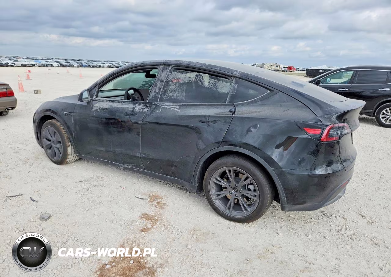 2024 Tesla Model Y VIN:7SAYGAEE8RF116654 - 2