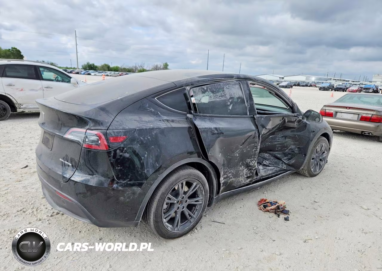 2024 Tesla Model Y VIN:7SAYGAEE8RF116654 - 3