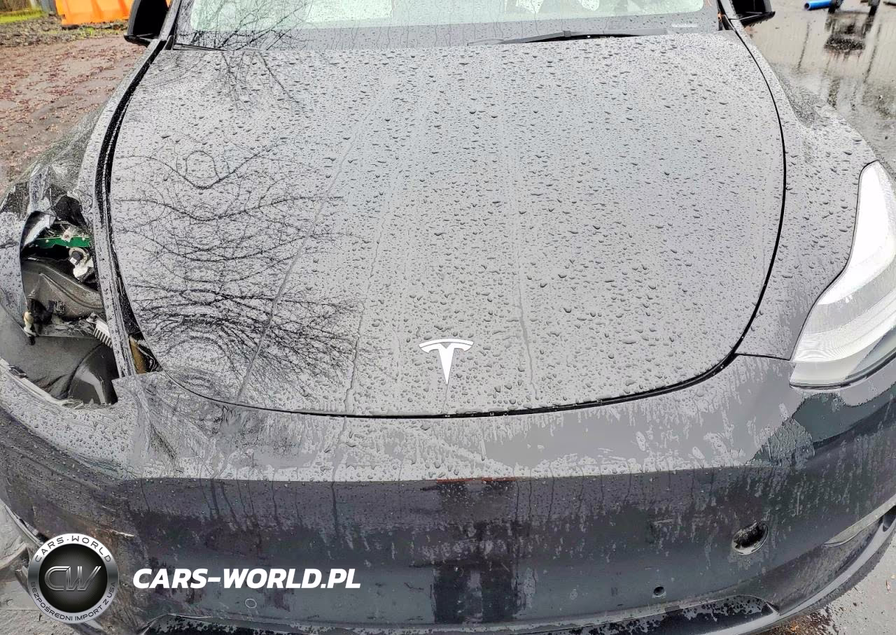 2021 Tesla Model Y VIN:5YJYGDEF4MF215858 - 12