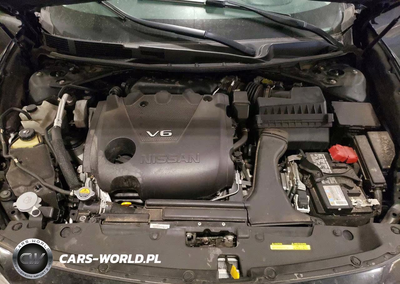 2020 Nissan Maxima 3.5 Sl VIN:1N4AA6DV5LC368046 - 11