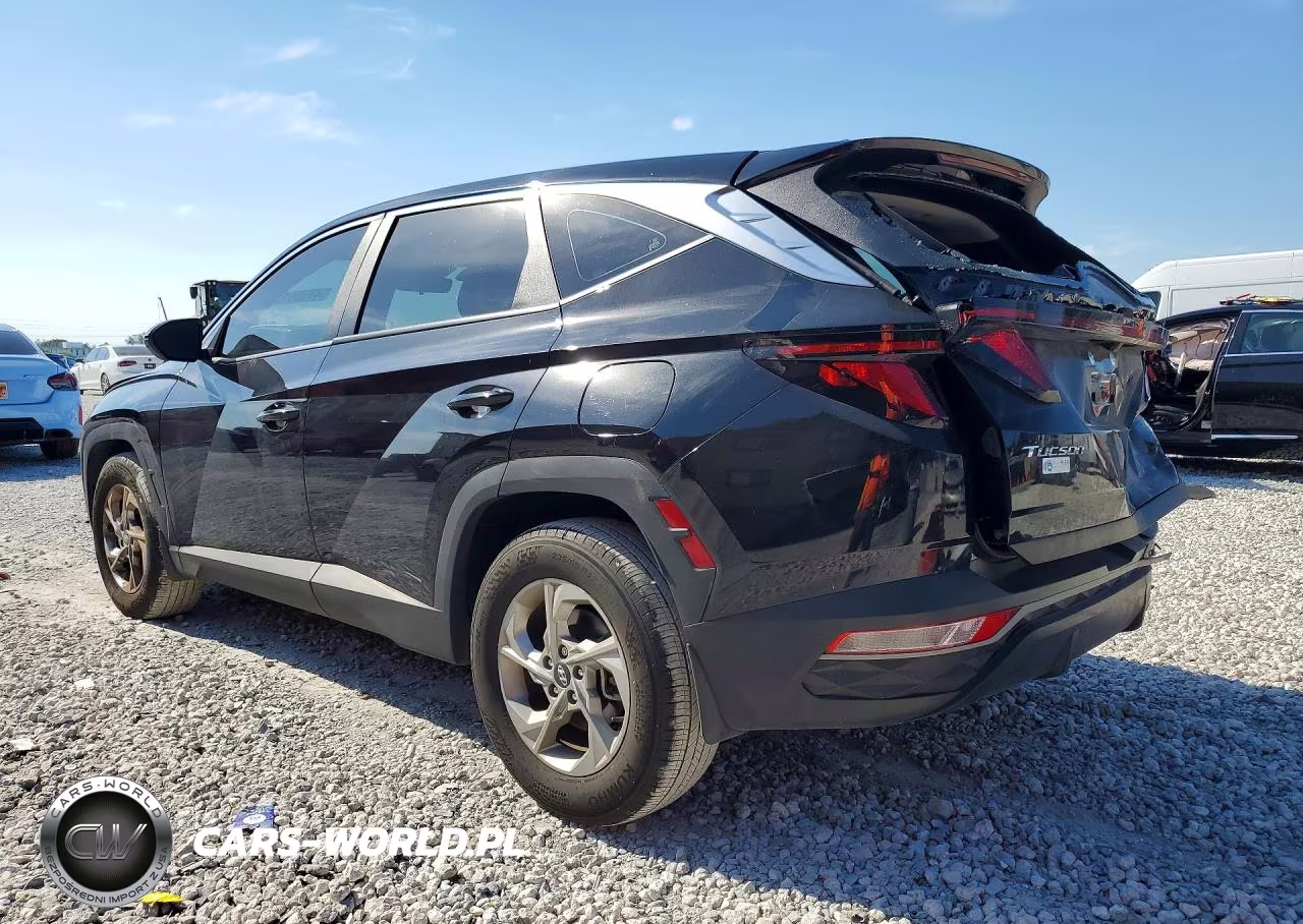 2024 Hyundai Tucson Se VIN:5NMJA3DE6RH435885 - 2