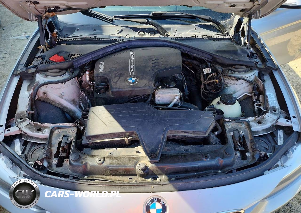 2013 BMW 320 I xDrive VIN:WBA3C3C56DF981691 - 11