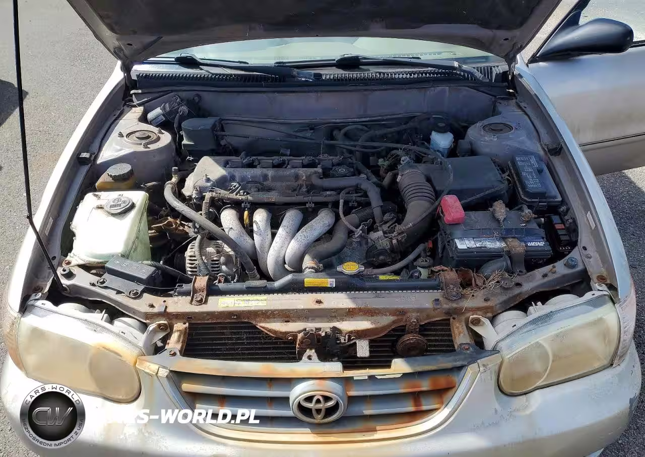 2001 Toyota Corolla Ce VIN:1NXBR12E91Z488237 - 11