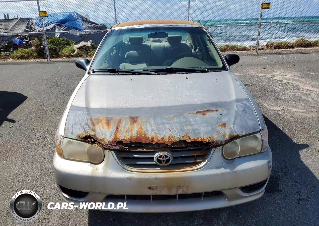 2001 Toyota Corolla Ce VIN:1NXBR12E91Z488237 - 5