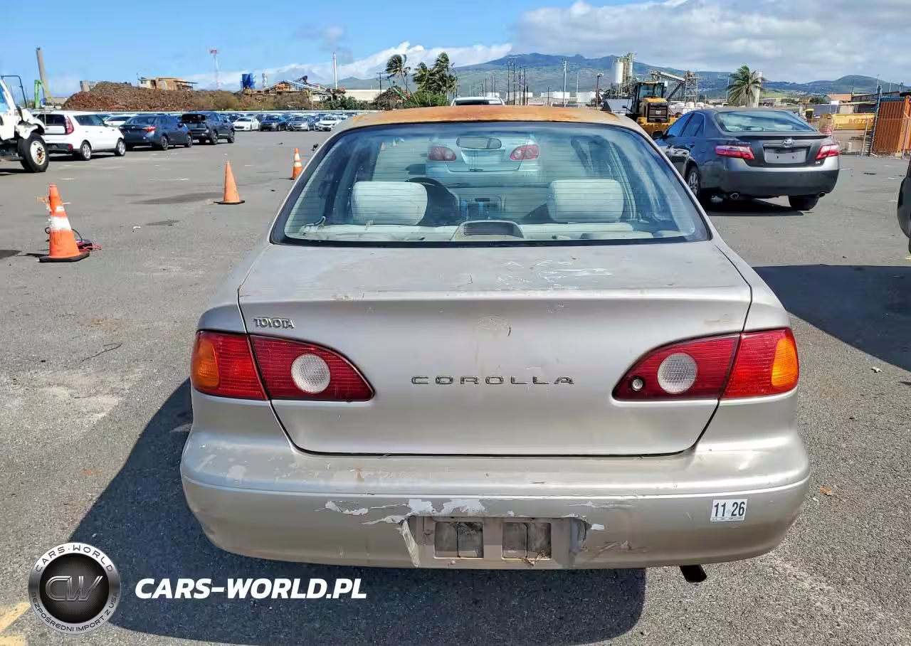 2001 Toyota Corolla Ce VIN:1NXBR12E91Z488237 - 6