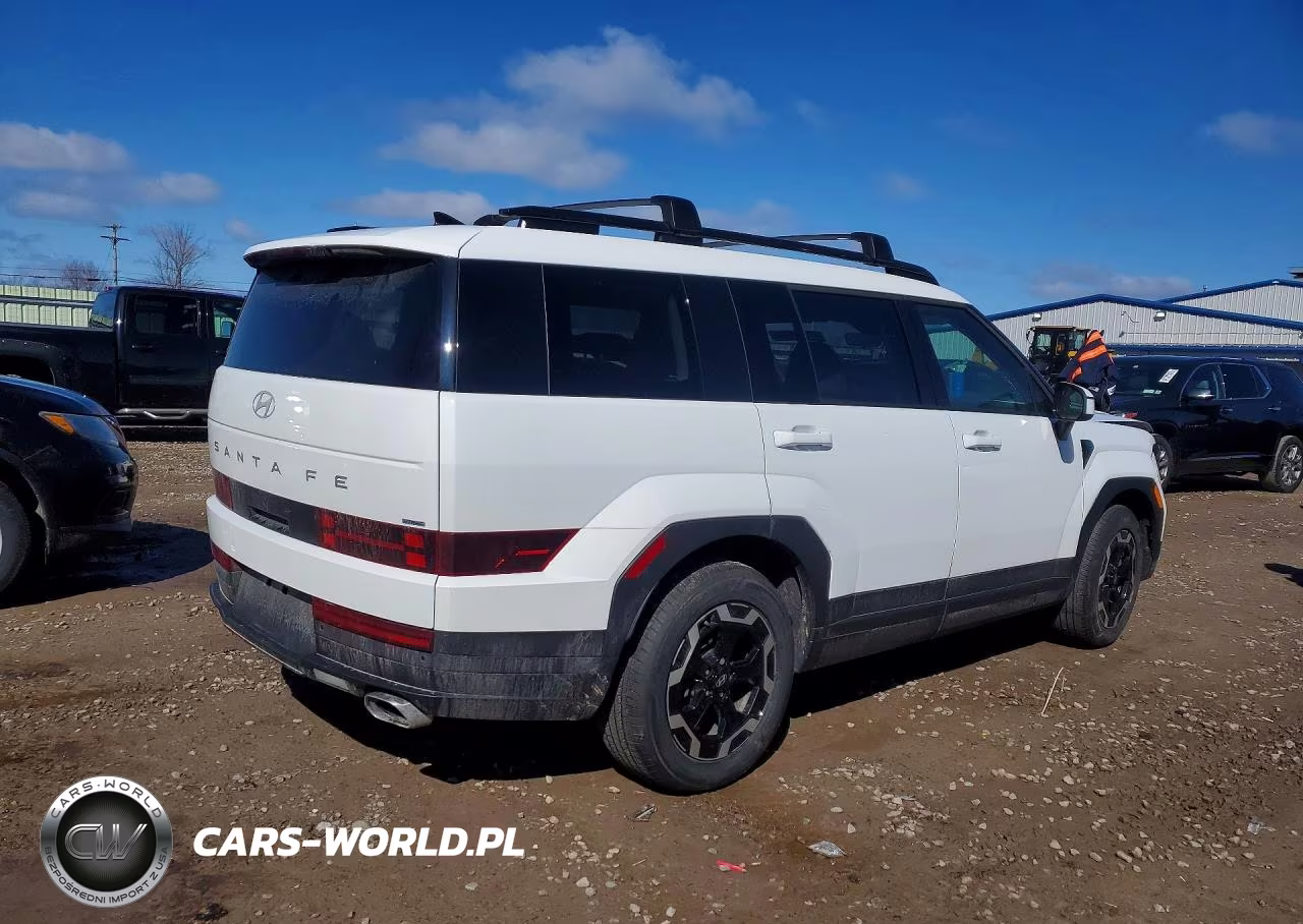 2025 Hyundai Santa Fe Sel VIN:5NMP2DGL4SH120838 - 3