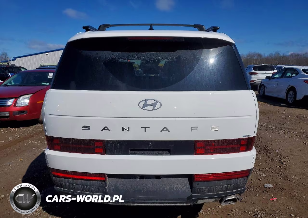 2025 Hyundai Santa Fe Sel VIN:5NMP2DGL4SH120838 - 6