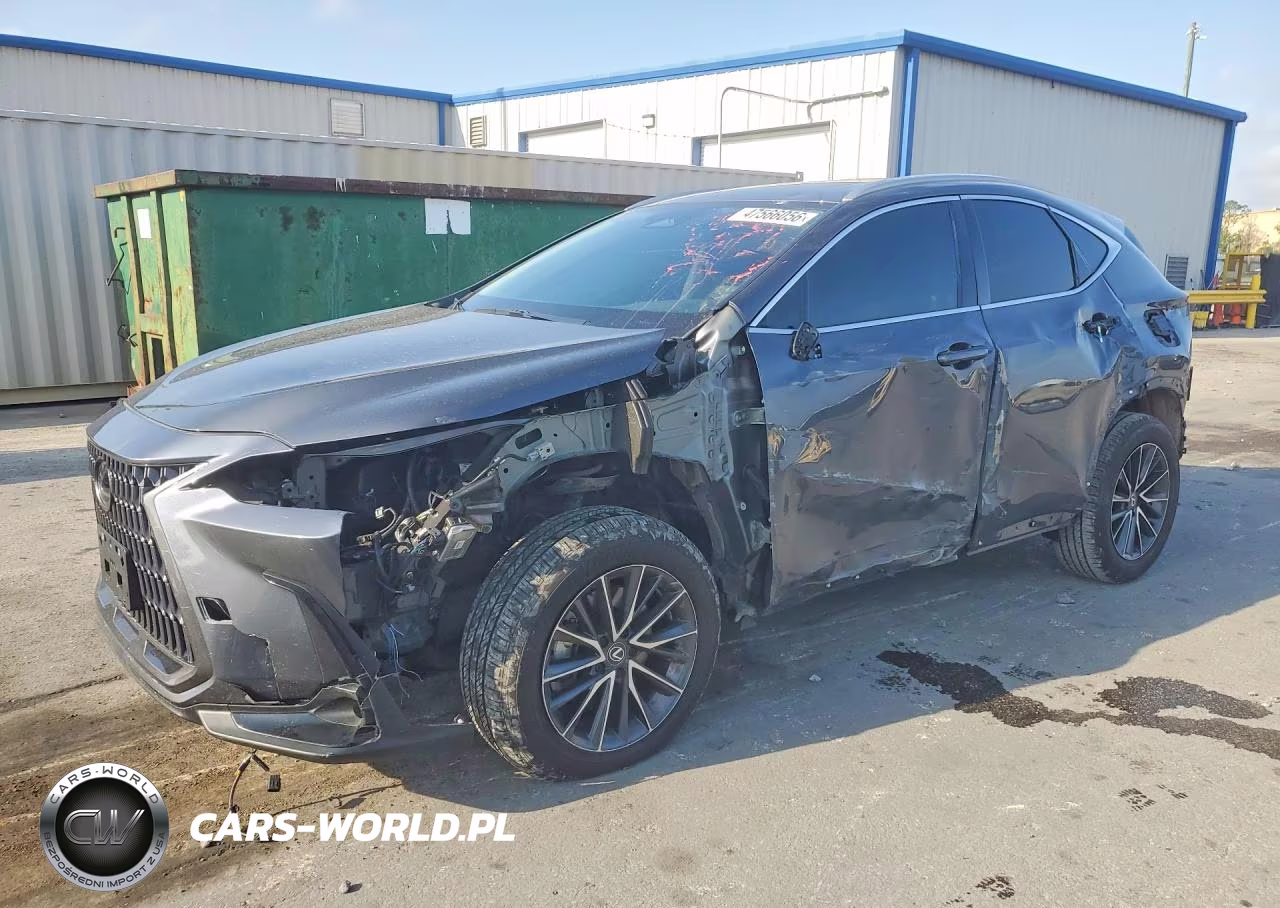 2024 Lexus Nx 350 Base