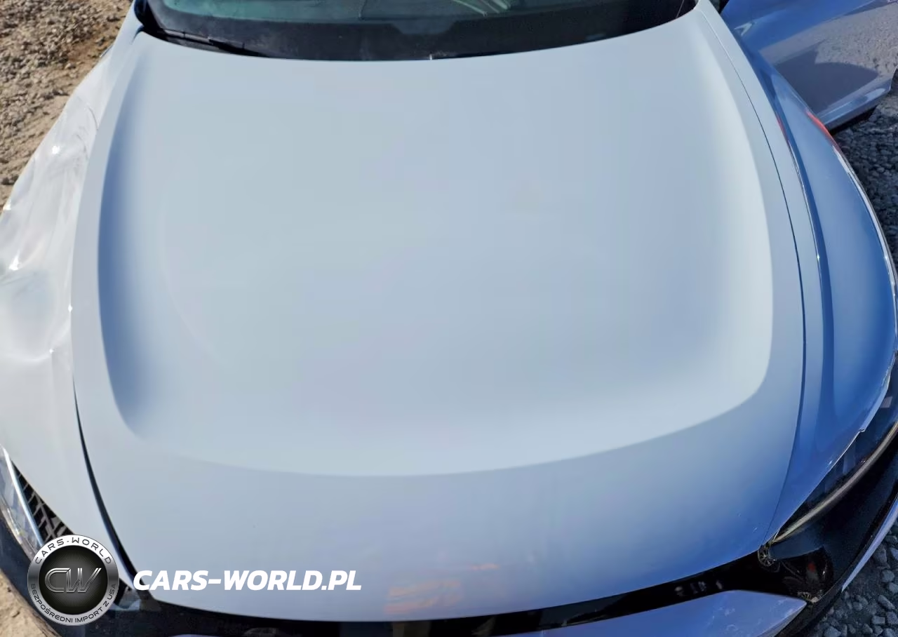 2024 Audi E-Tron Gt Premium Plus VIN:WAUCJBFW7R7002041 - 11