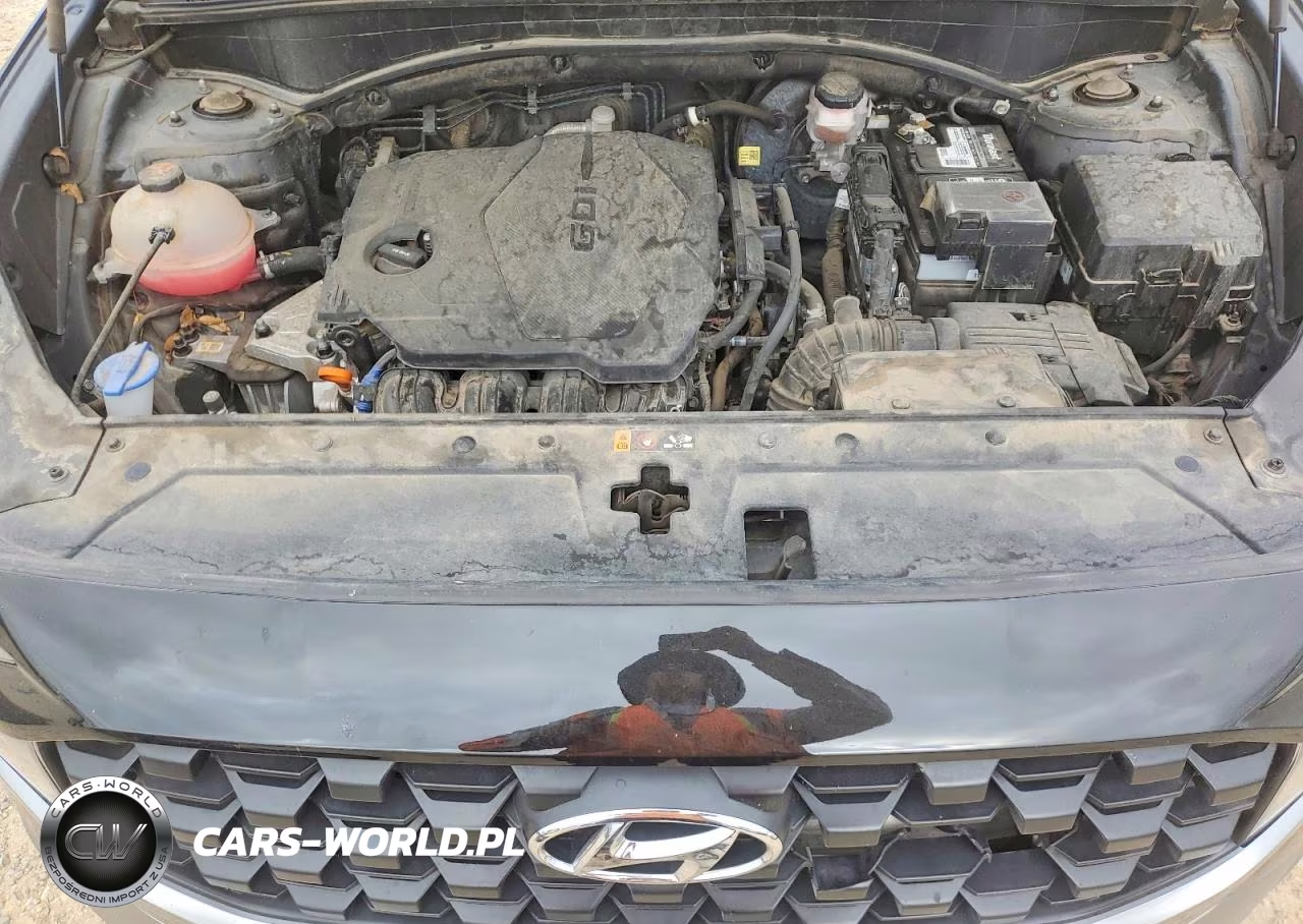 2023 Hyundai Santa Fe Se VIN:5NMS14AJ2PH564800 - 11