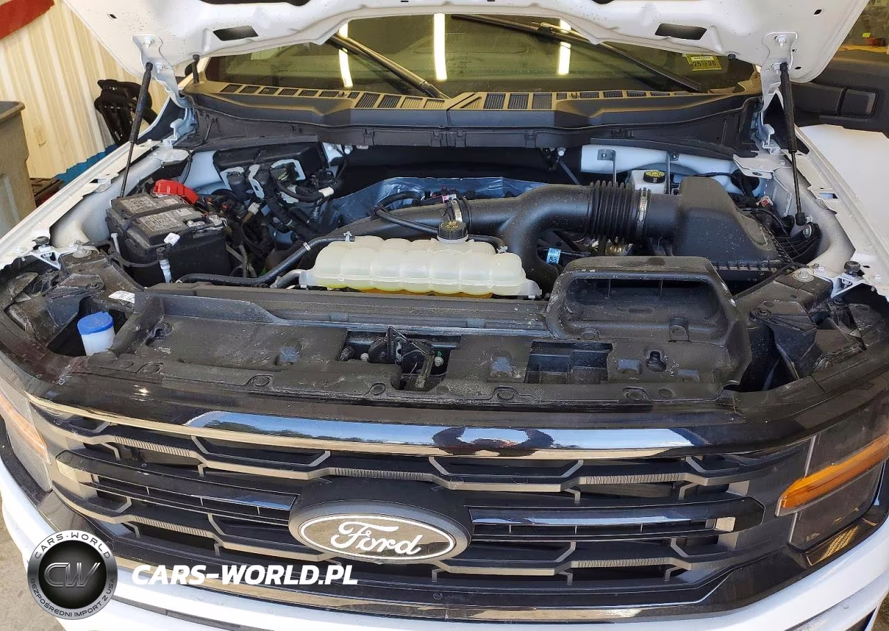 2025 Ford F150 VIN:1FTEW3LP1SKF12338 - 11