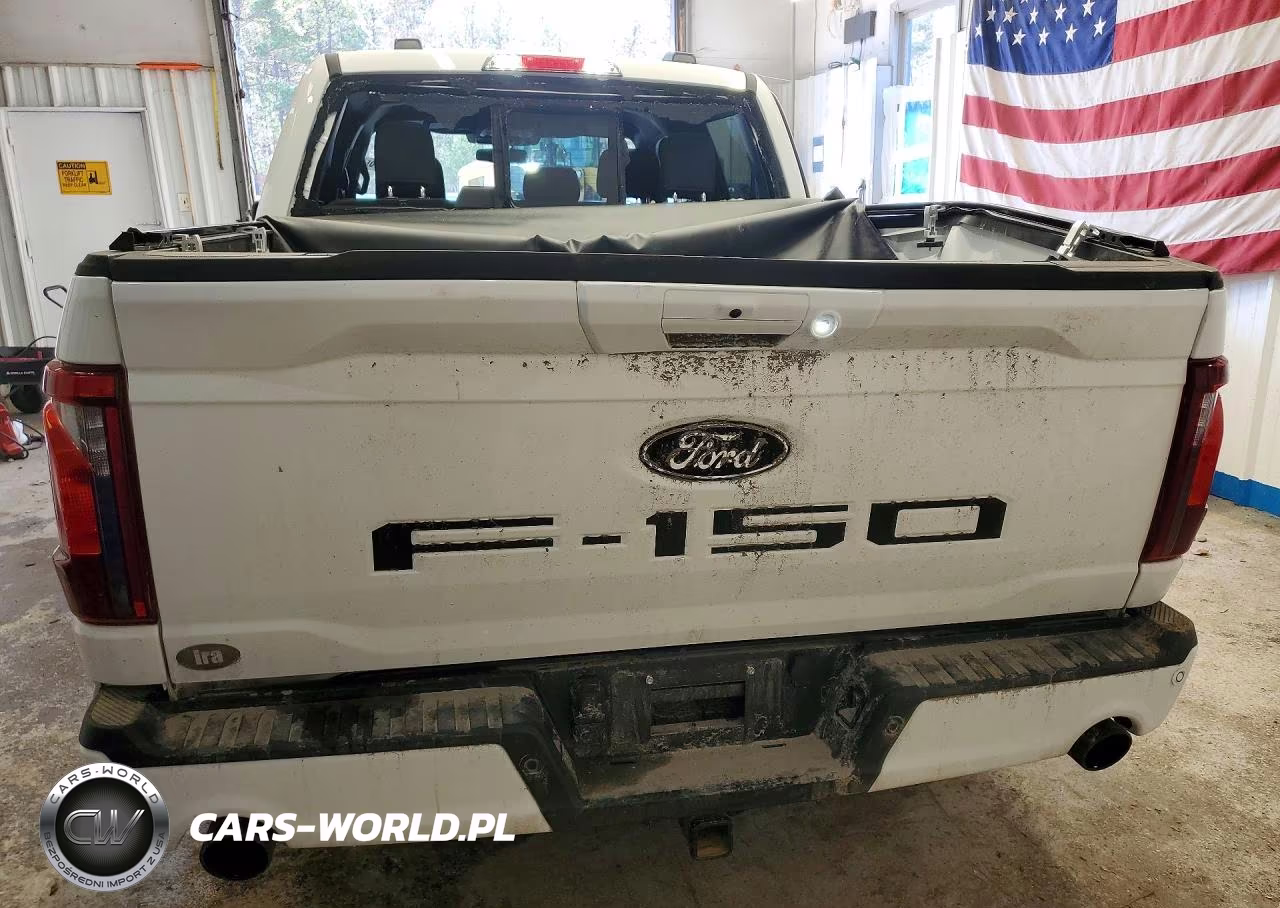 2025 Ford F150 VIN:1FTEW3LP1SKF12338 - 6