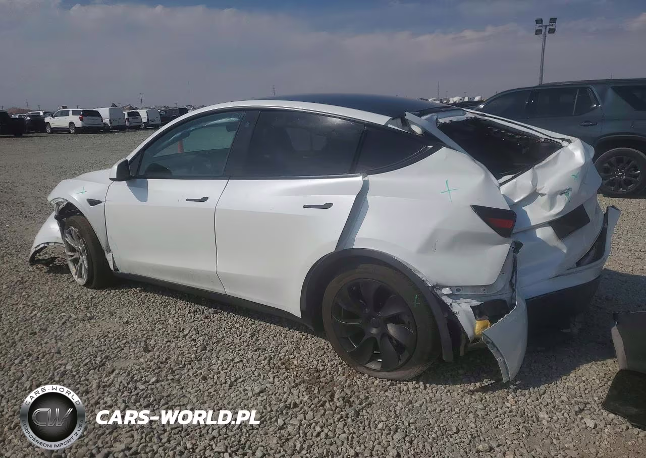 2023 Tesla Y VIN:7SAYGDEE6PA032456 - 2