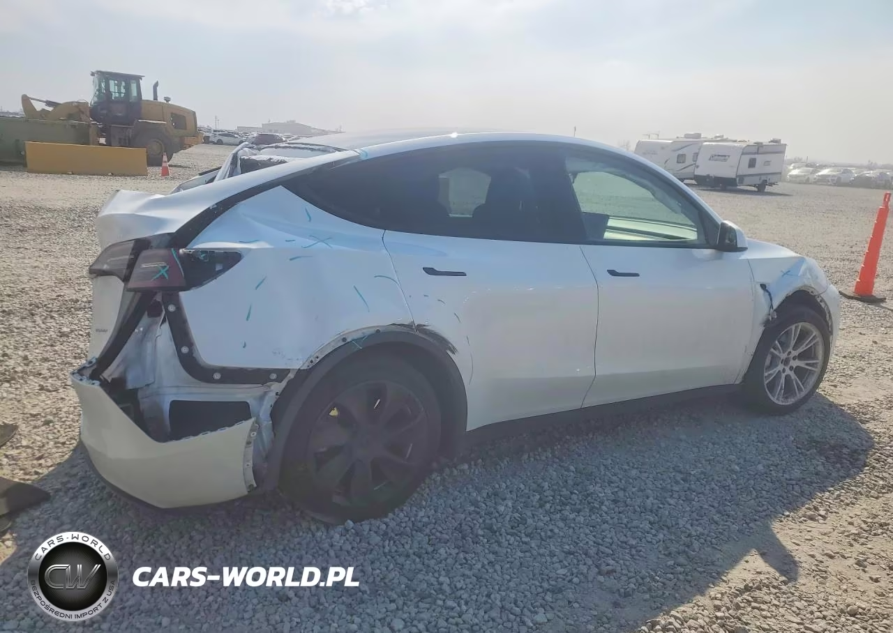 2023 Tesla Y VIN:7SAYGDEE6PA032456 - 3