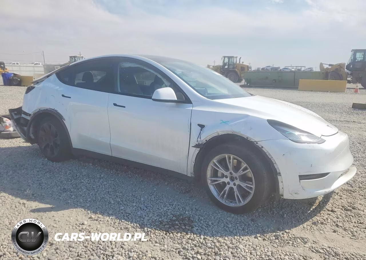 2023 Tesla Y VIN:7SAYGDEE6PA032456 - 4